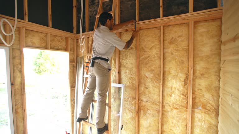 Best Soundproof Insulation  in USA